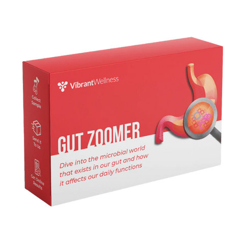 Gut Zoomer