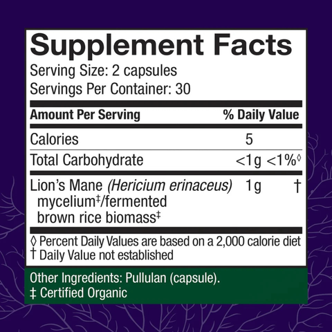 Lion's Mane 60 Capsules